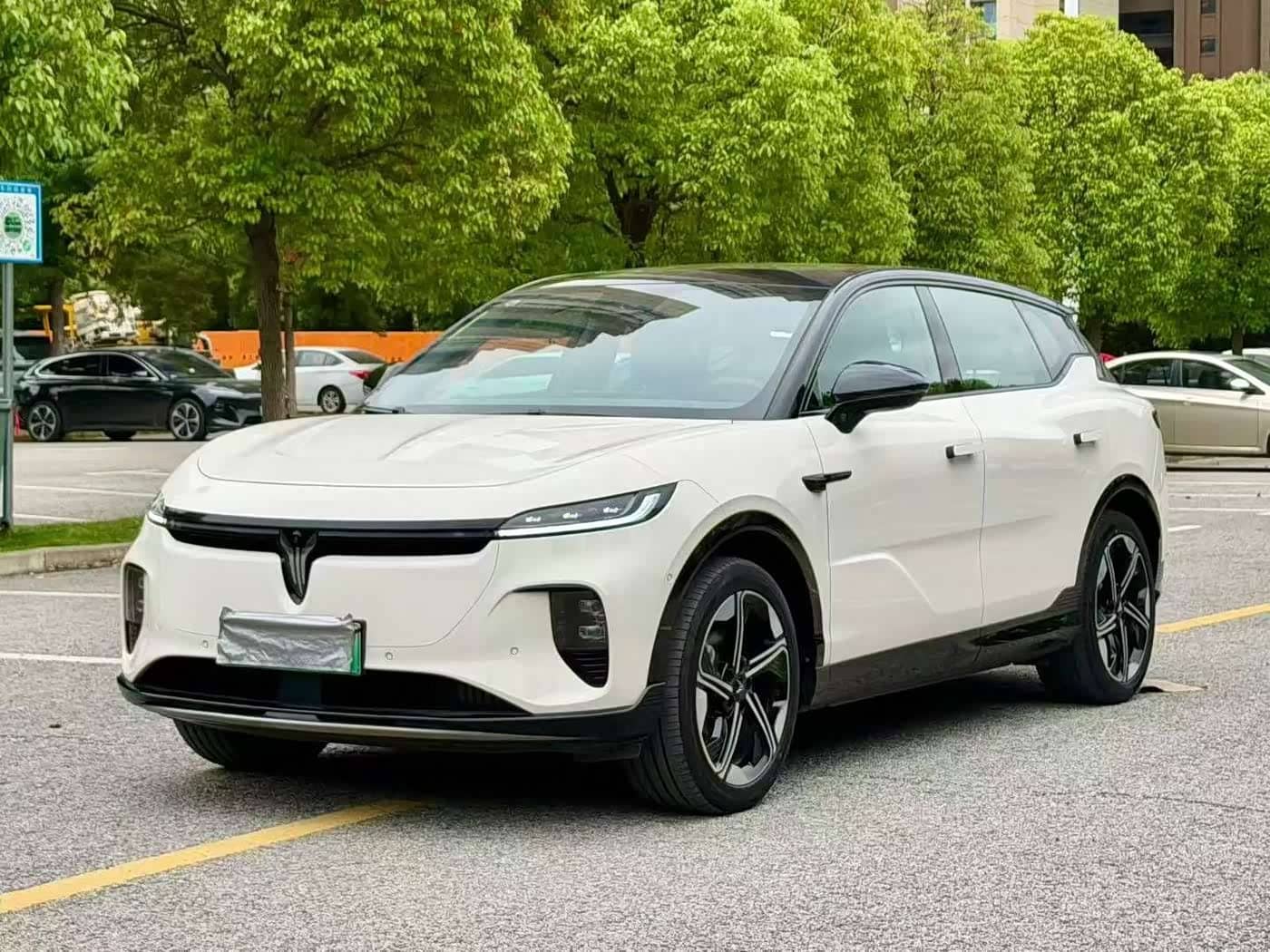 Voyah Auto Voyah Zhiyin