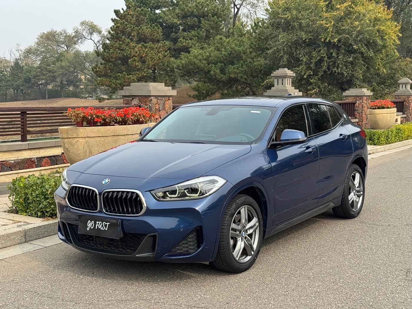 BMW X2