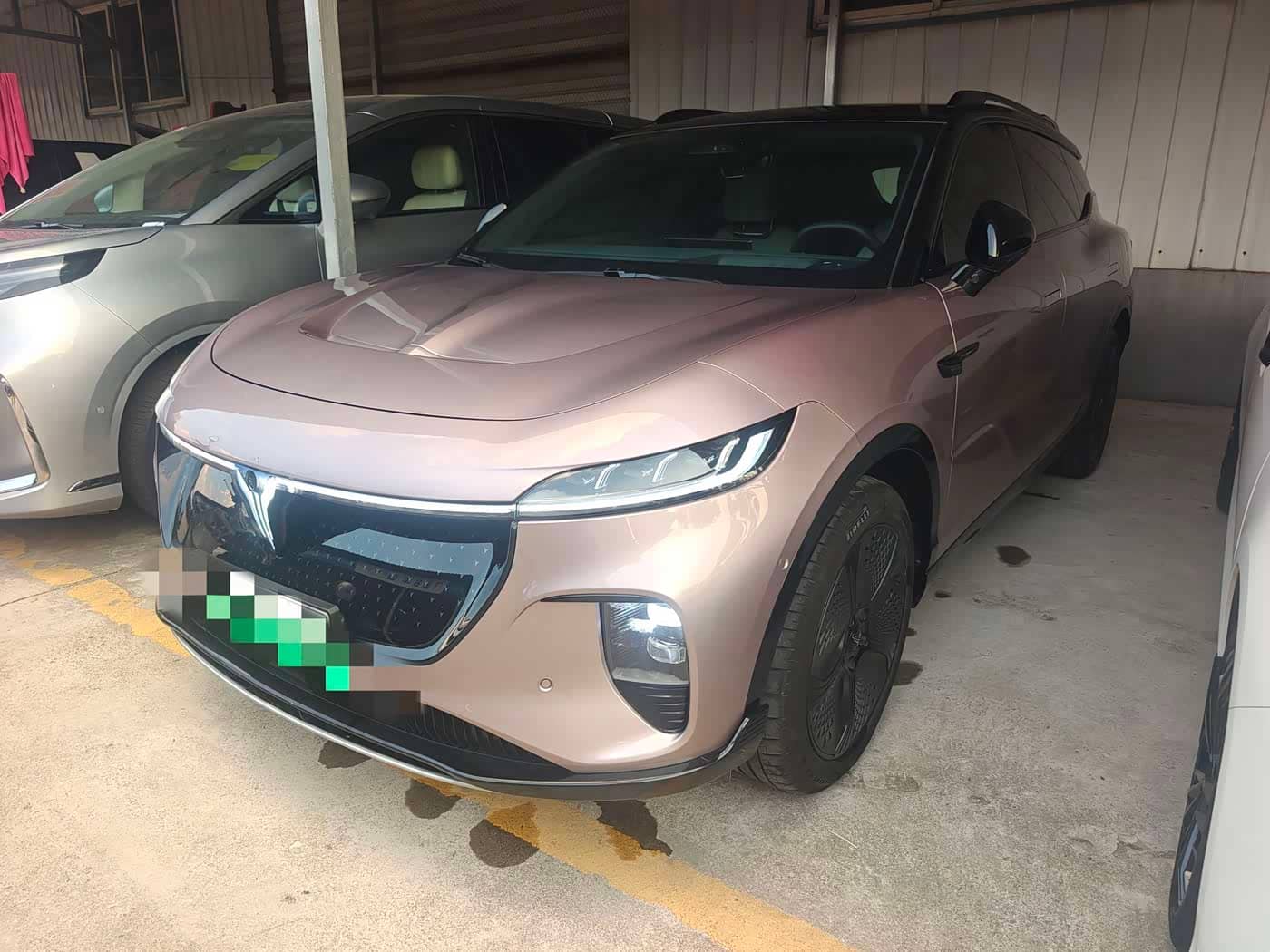 Voyah Auto Voyah Zhiyin