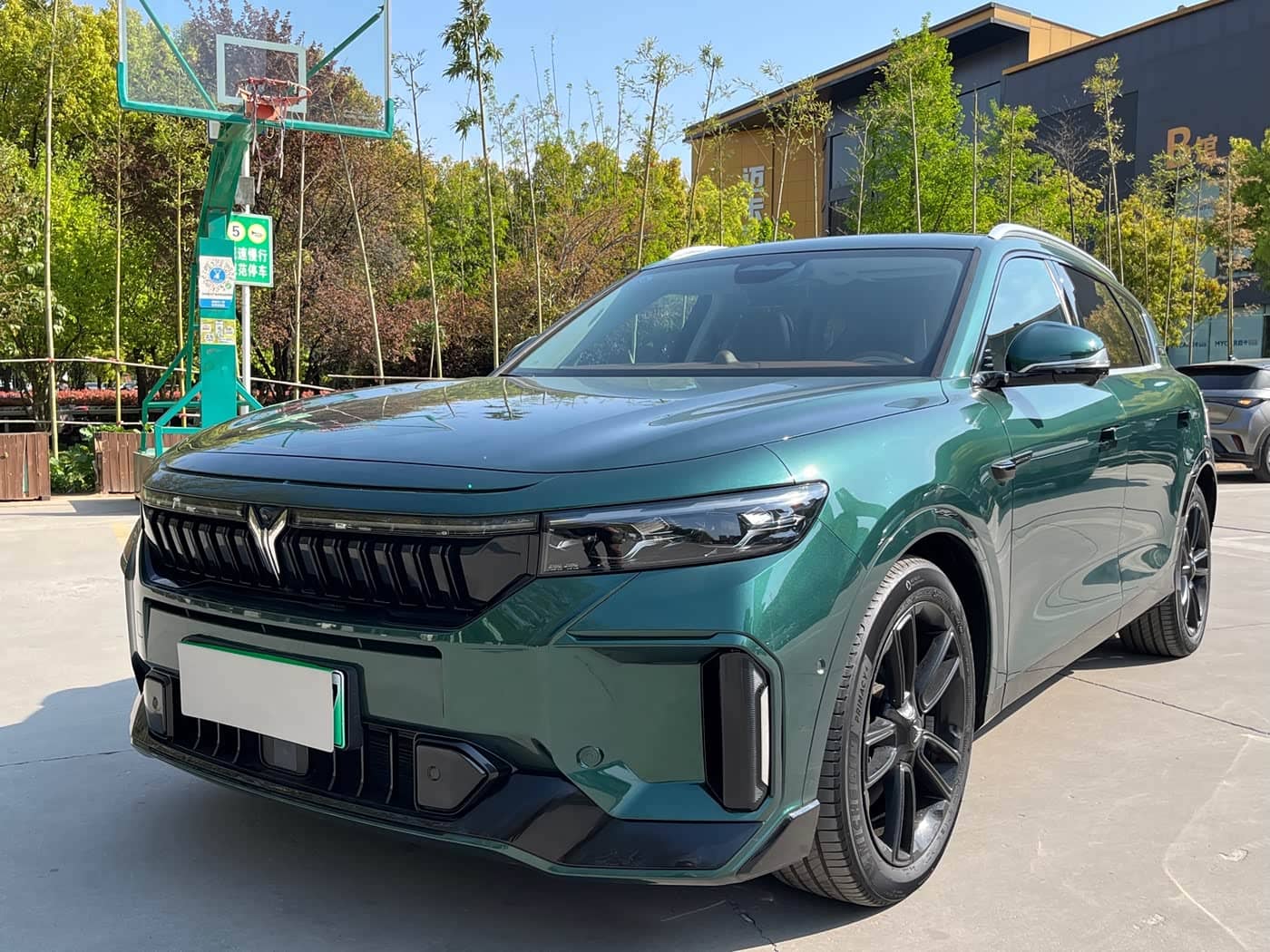 Voyah Auto VOYAH FREE