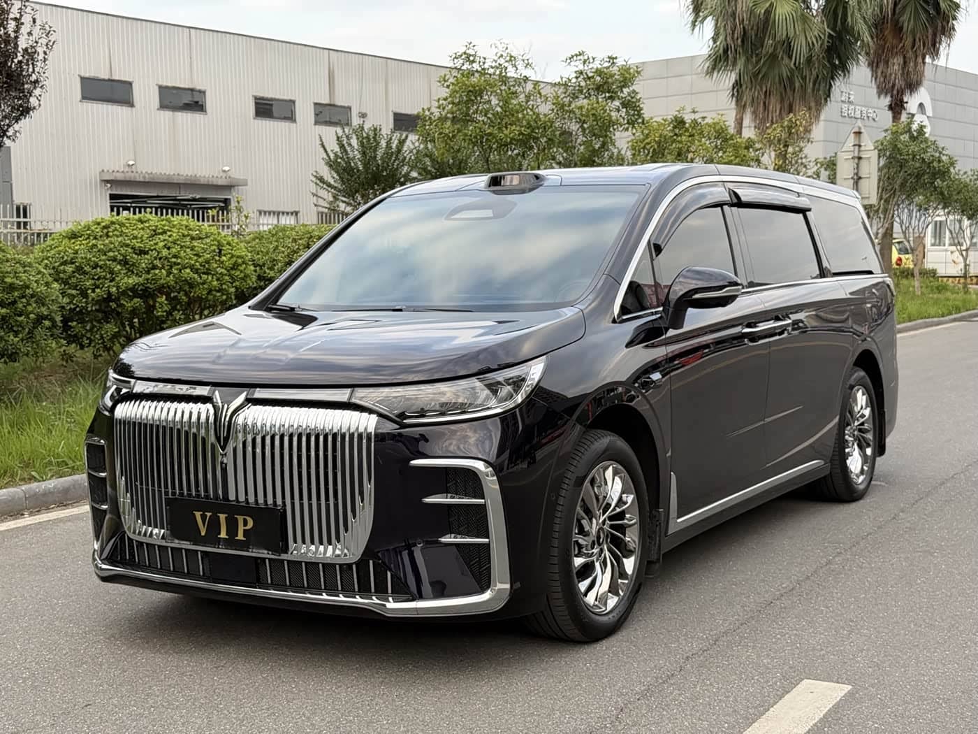 Voyah Auto Voyah Dreamer