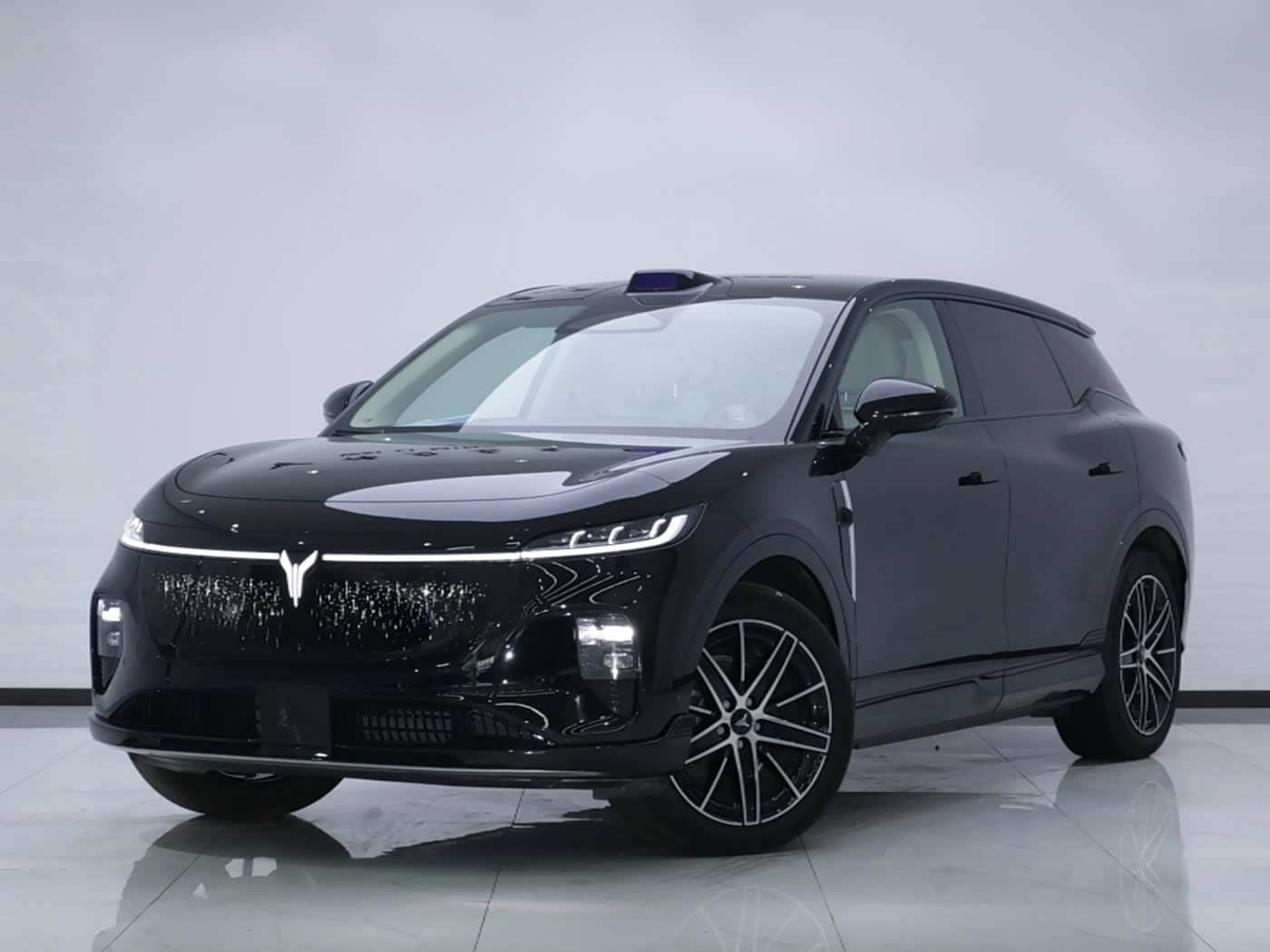 Voyah Auto Voyah Zhiyin