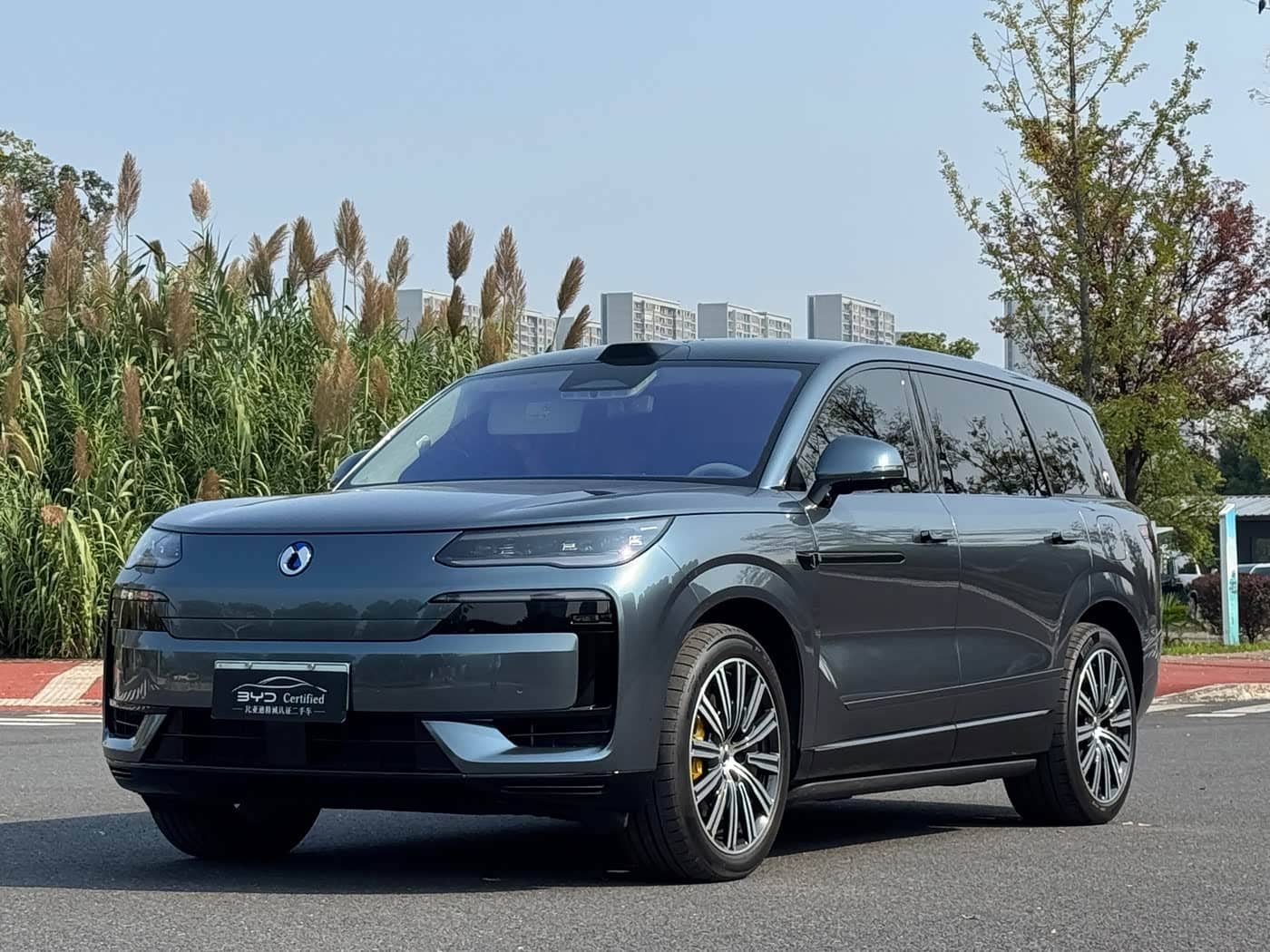 Denza N9