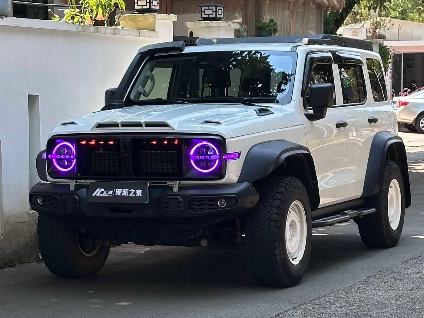 Tank 300