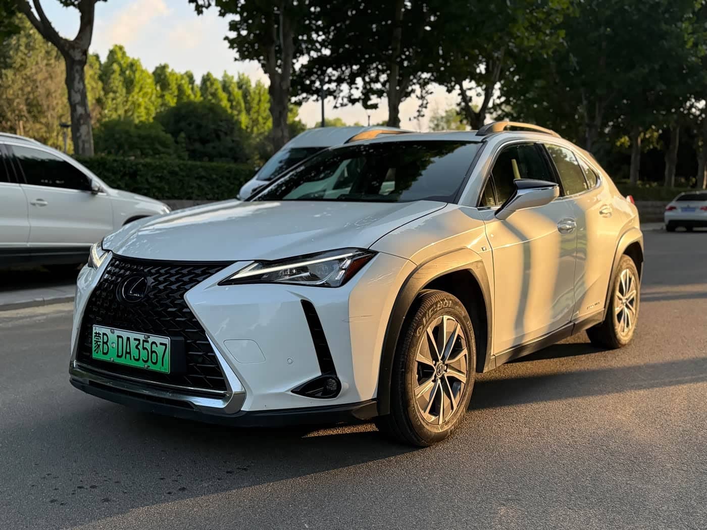 Lexus UX Electric