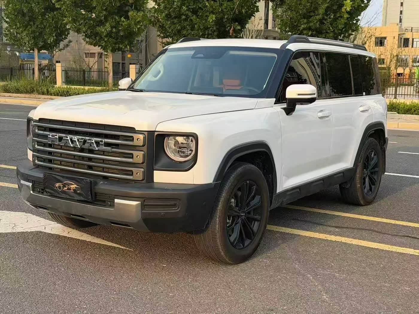 Haval Meng Long NEV