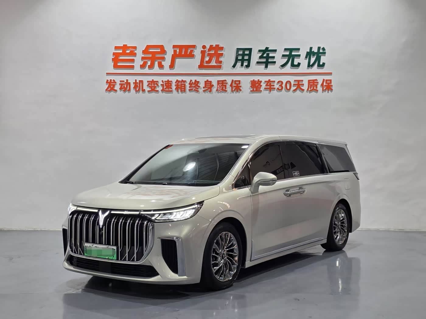 Voyah Auto Voyah Dreamer