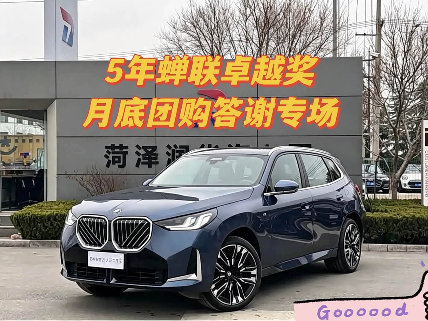 BMW X3
