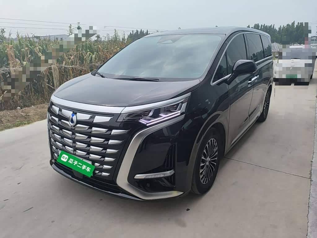 Denza D9