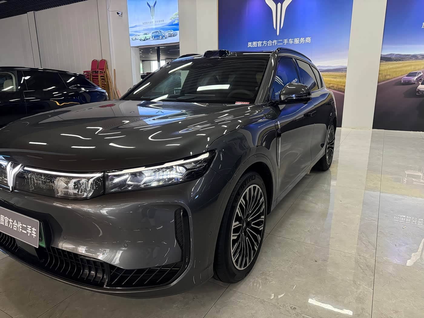 Voyah Auto VOYAH FREE