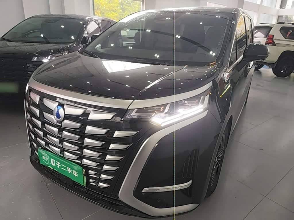 Denza D9