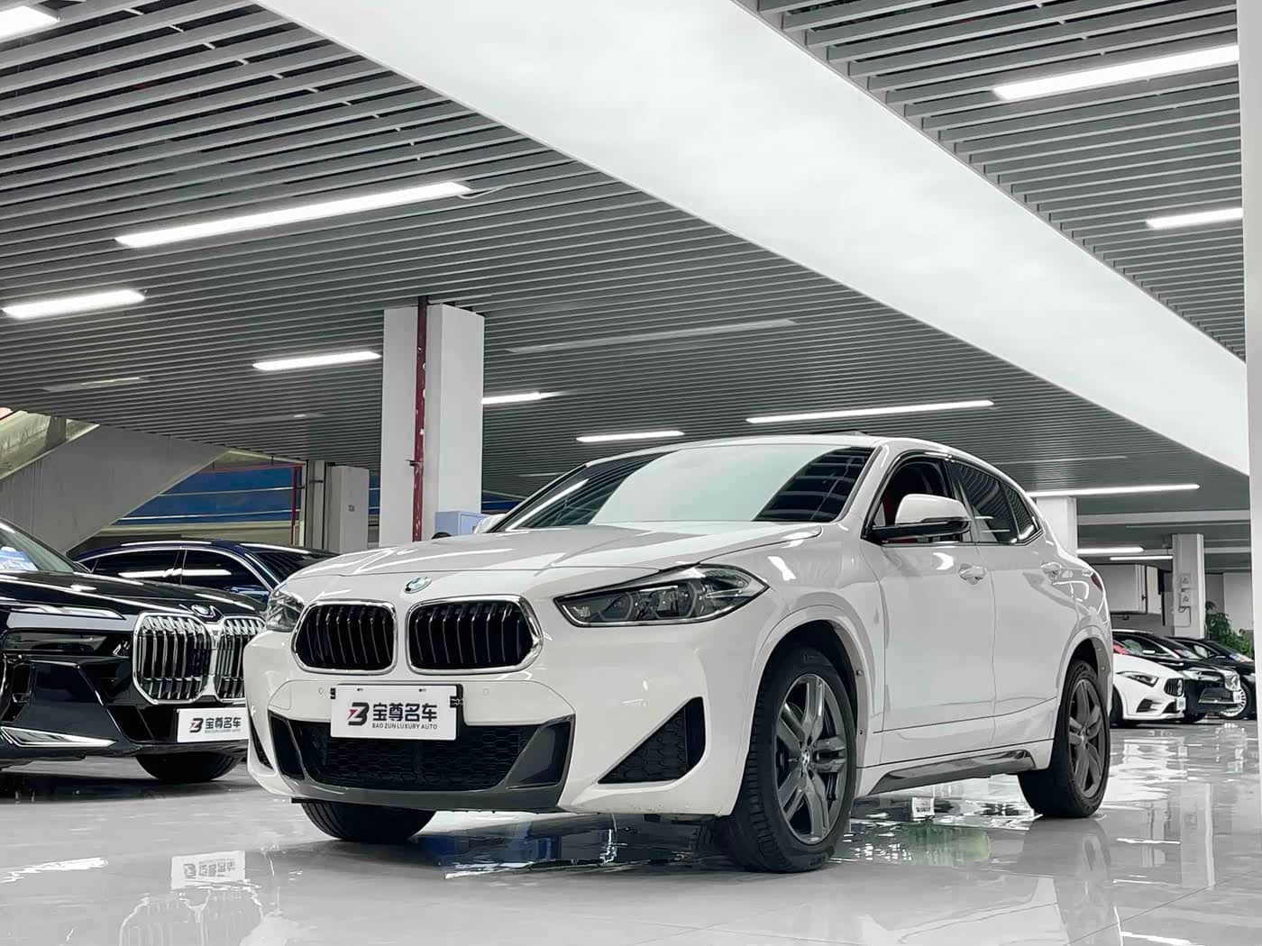 BMW X2