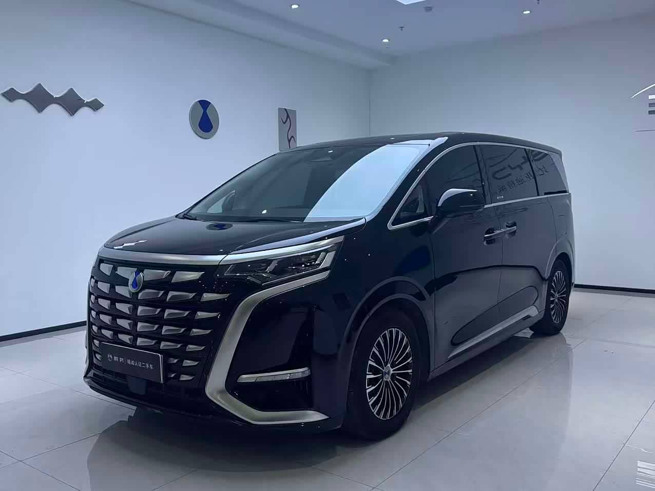 Denza D9