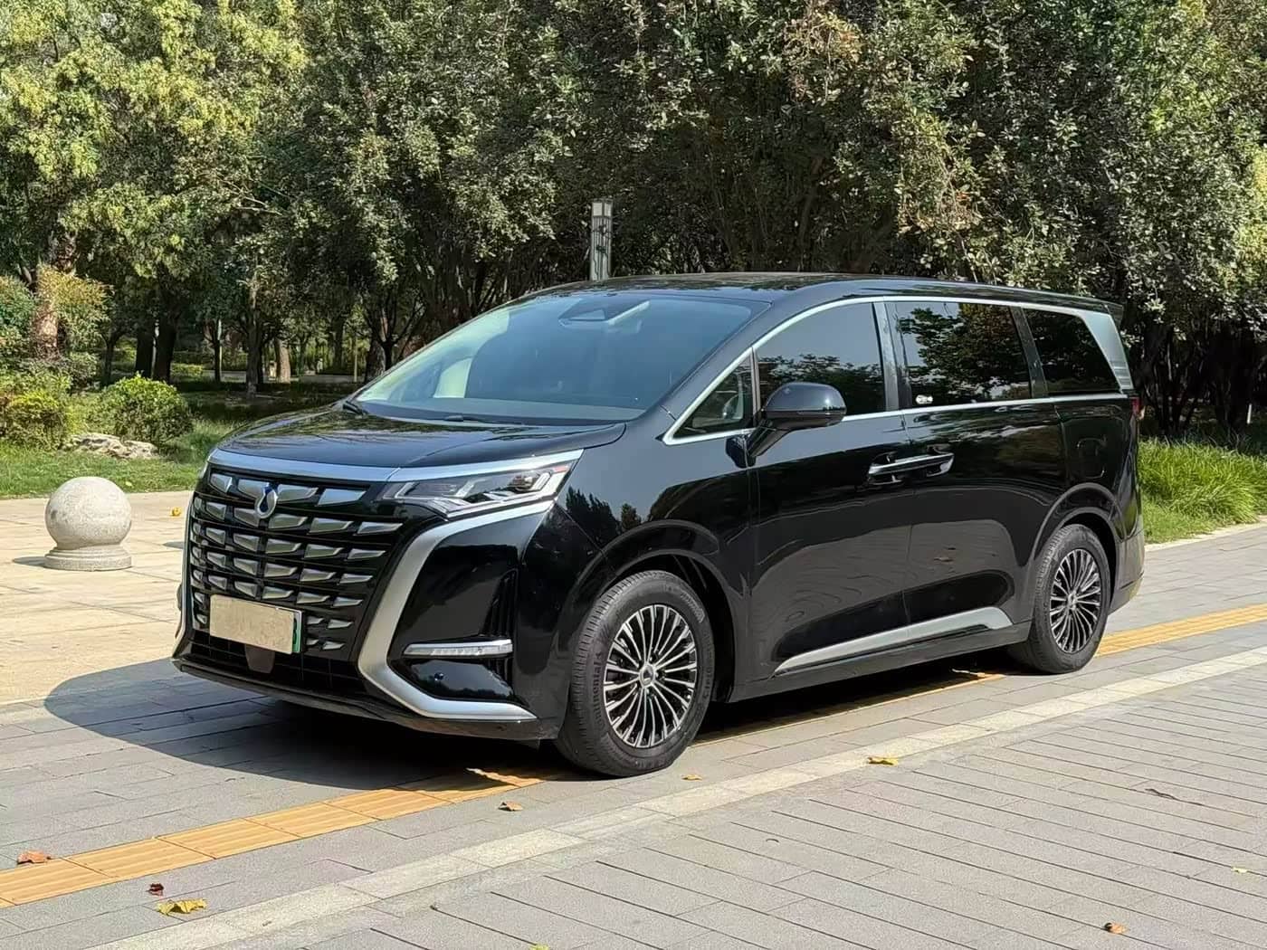 Denza D9