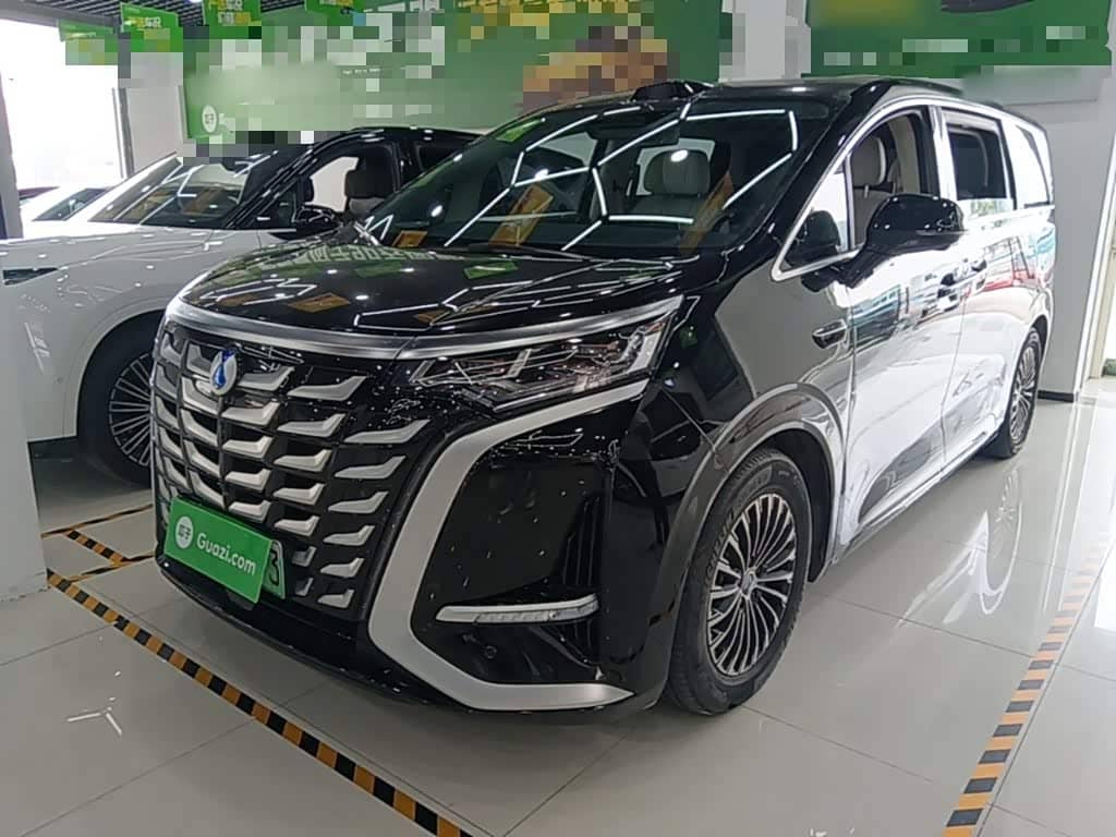 Denza D9