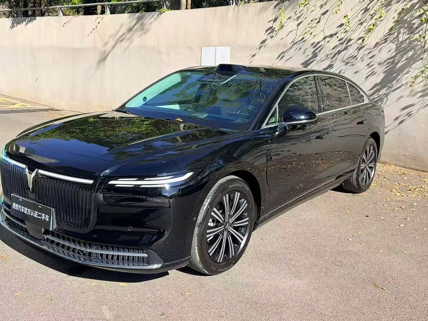 Voyah Auto VOYAH Zhuiguang L