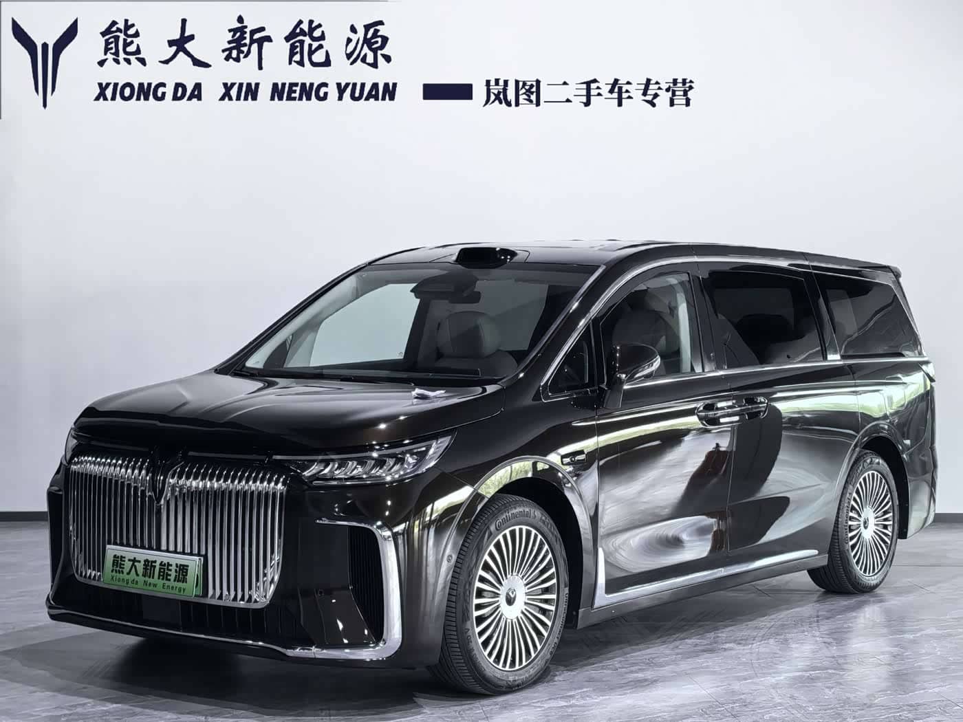 Voyah Auto Voyah Dreamer