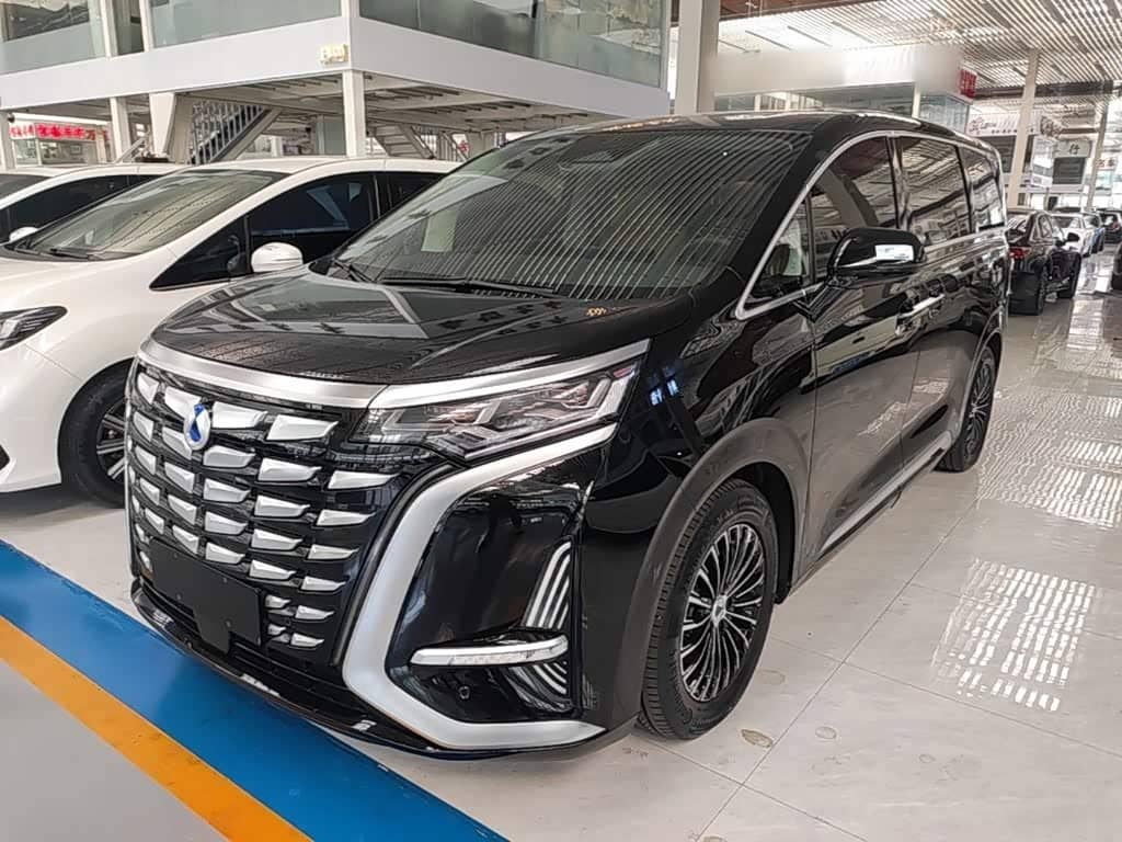 Denza D9