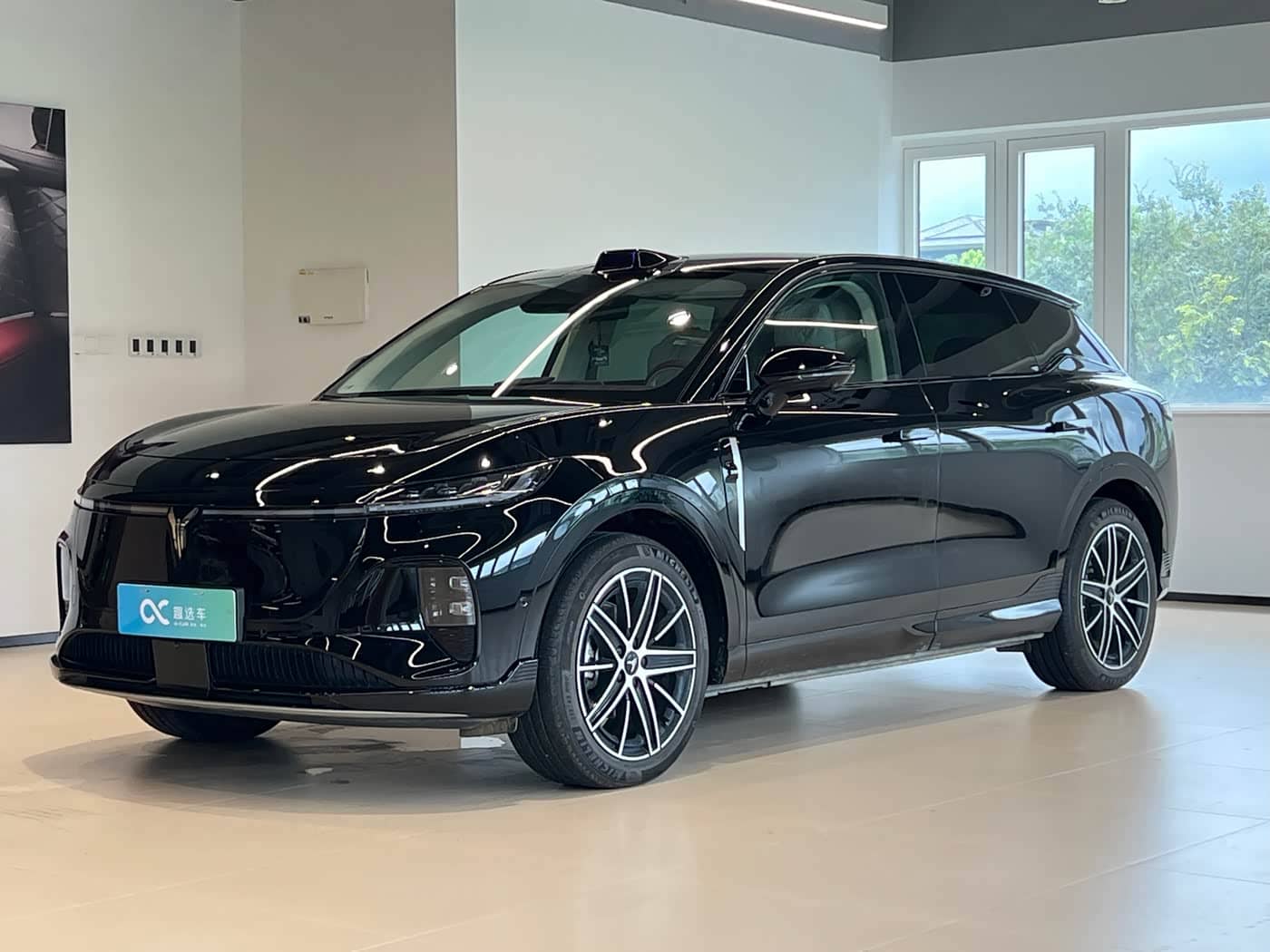 Voyah Auto Voyah Zhiyin