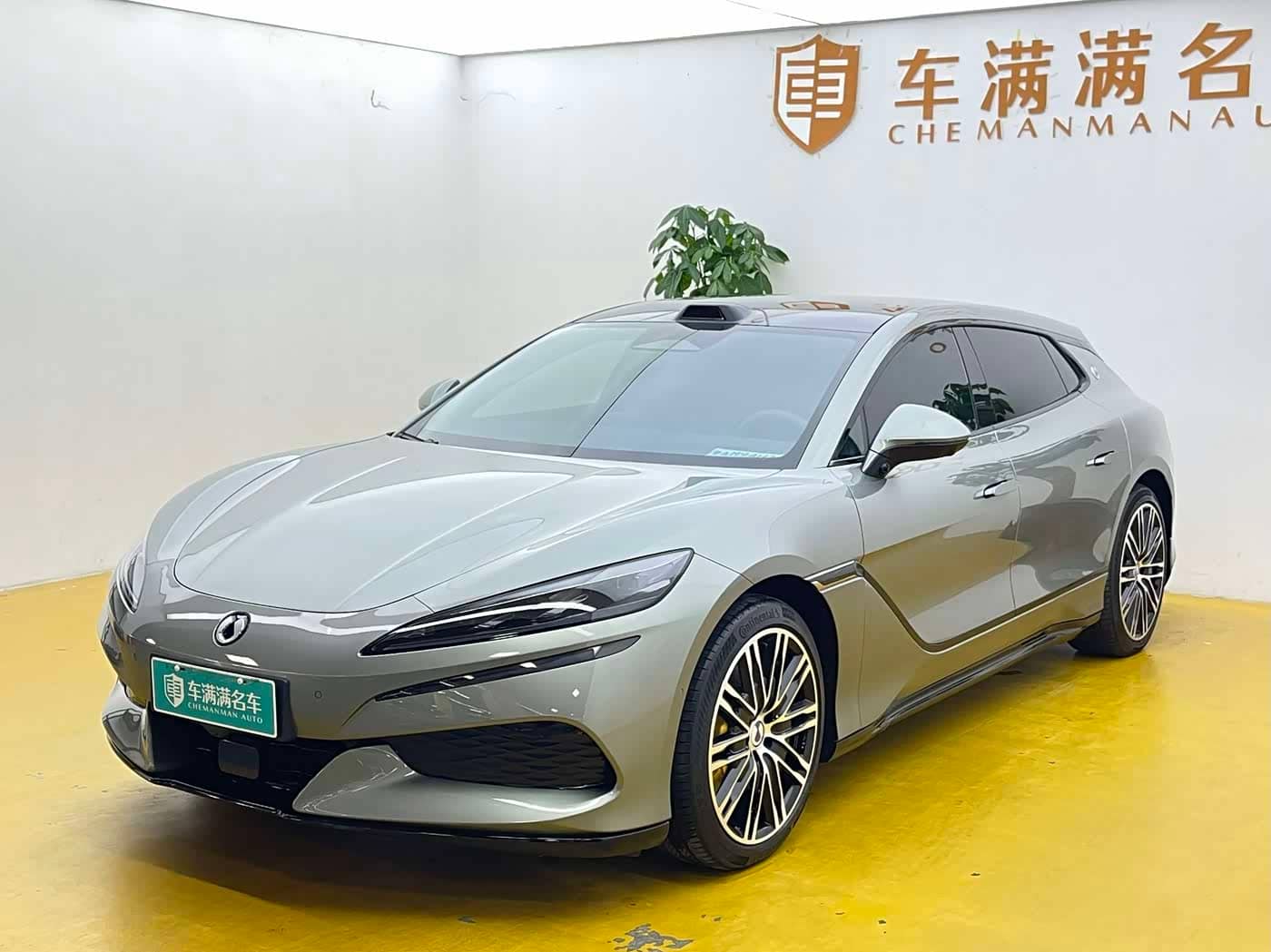 Denza Z9GT