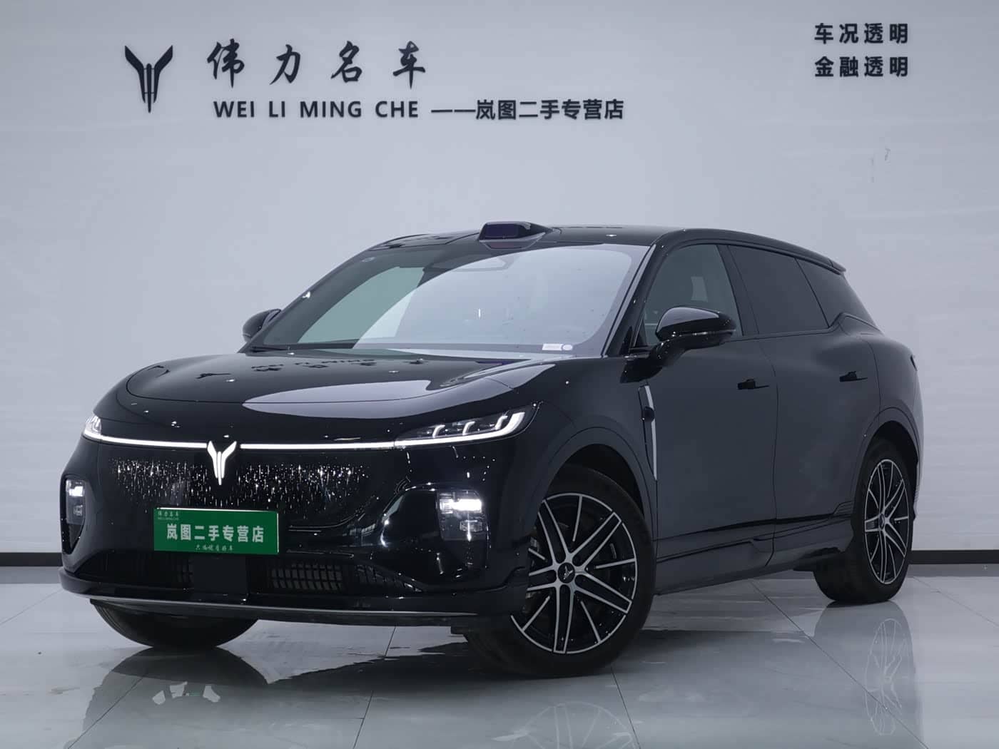Voyah Auto Voyah Zhiyin