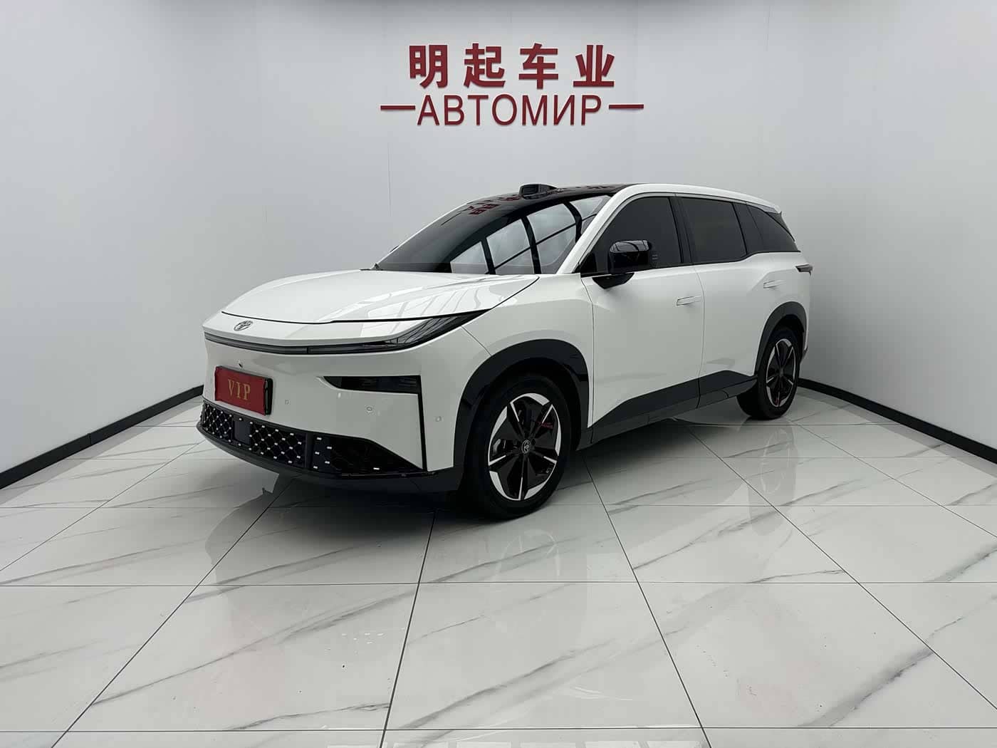 Toyota BoZhi 3X