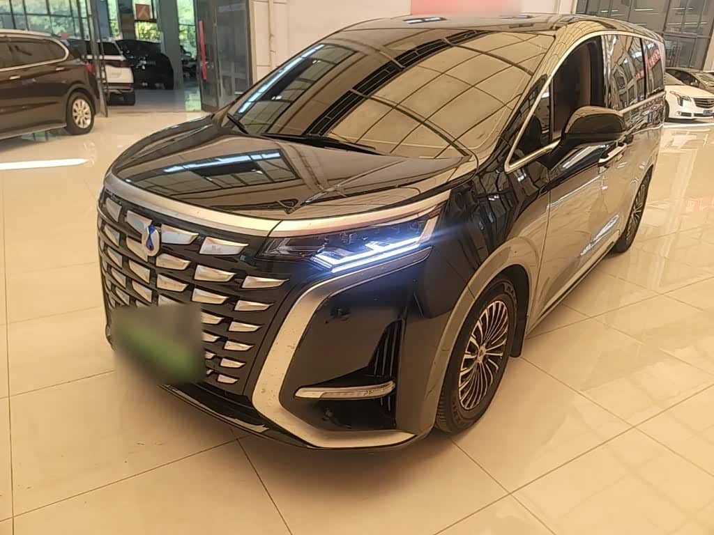 Denza D9