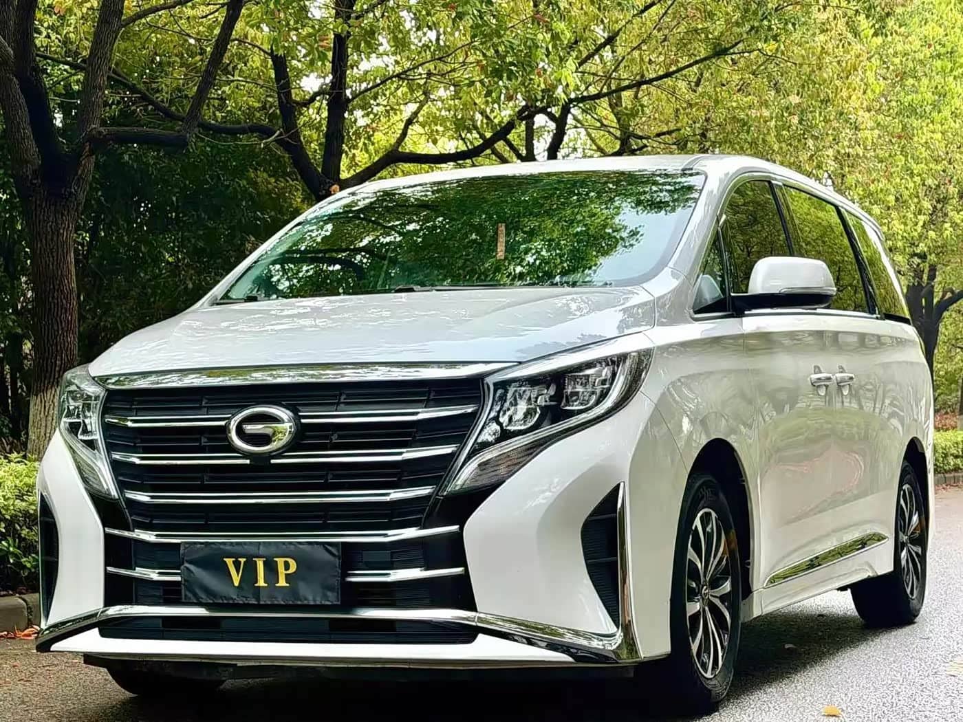 GAC Trumpchi Trumpchi M8