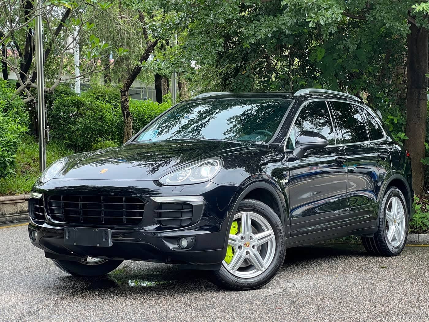 Porsche Cayenne New Energy