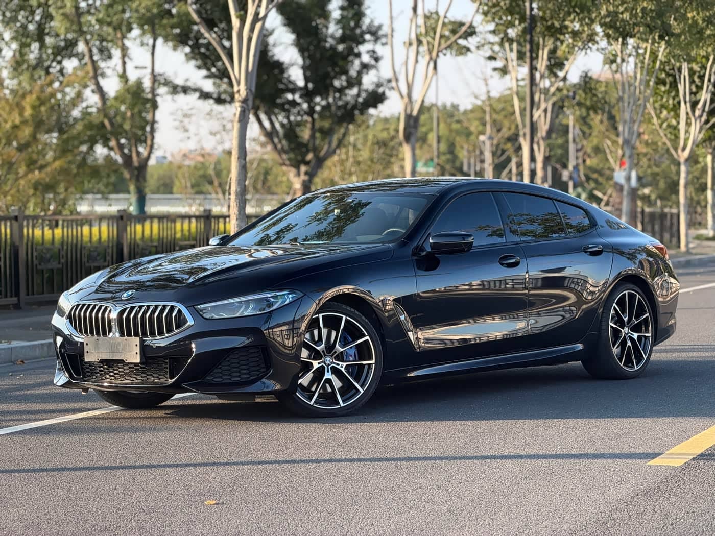 BMW 8 Series