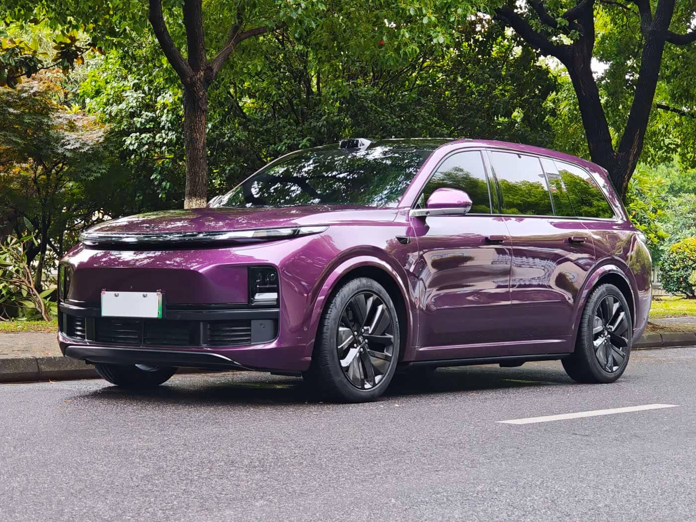 Li Auto Li Xiang L9