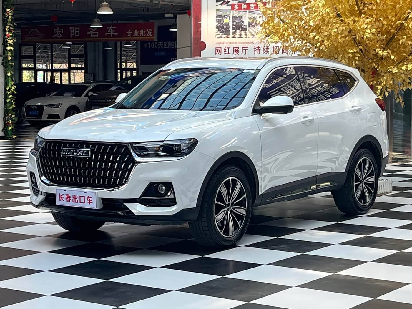 Haval H6