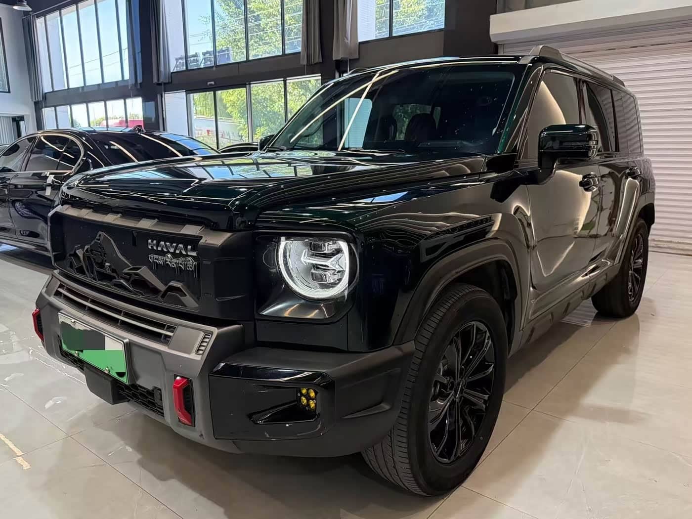 Haval Meng Long NEV