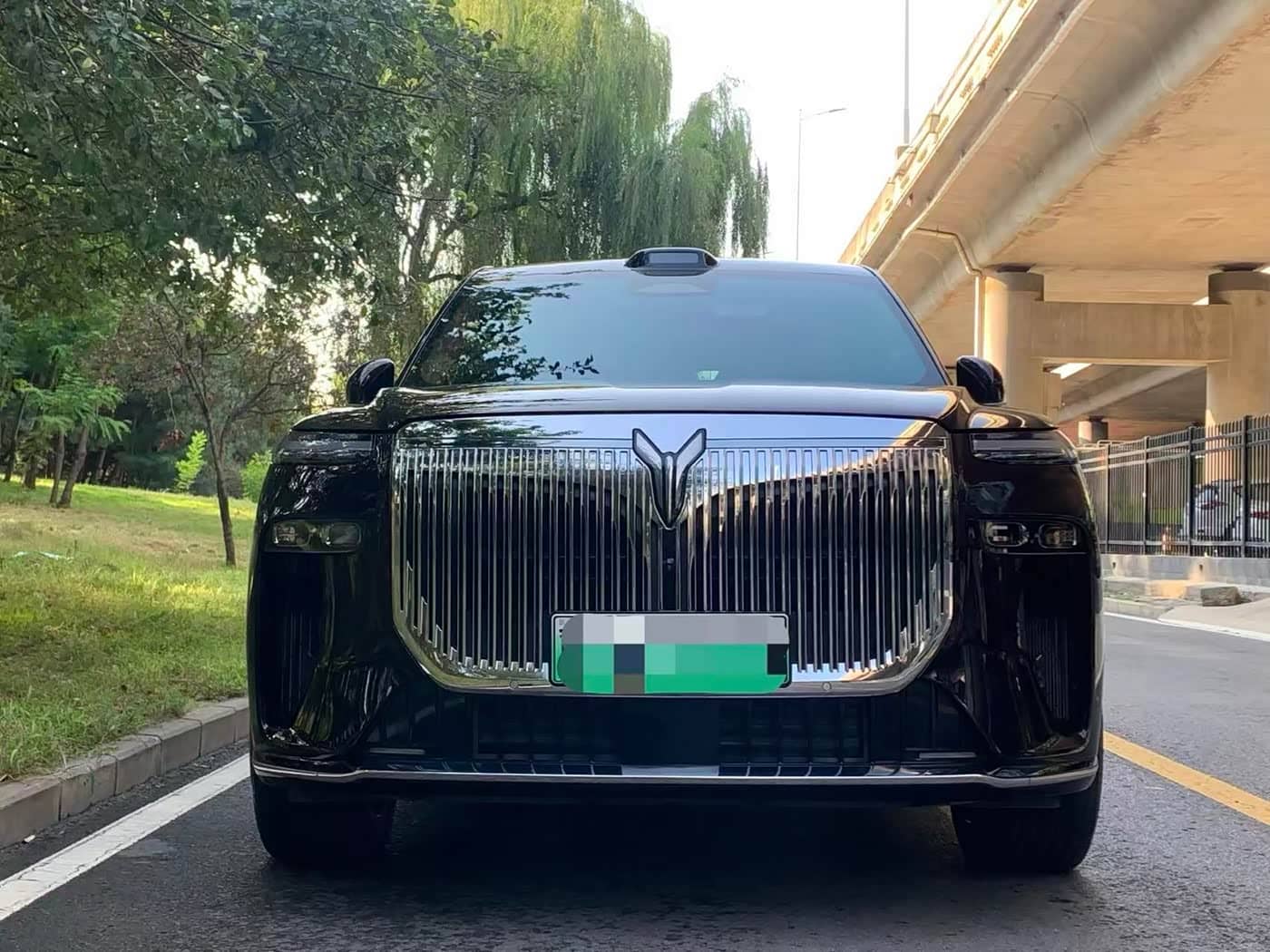 Voyah Auto VOYAH Taisan