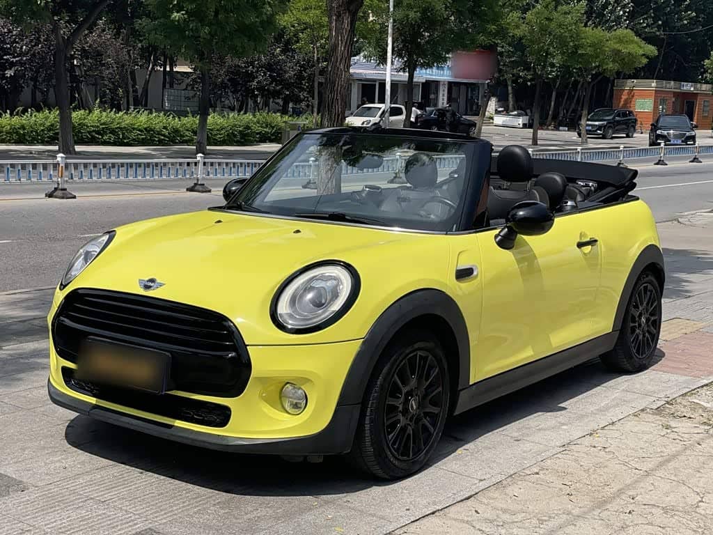 MINI MINI