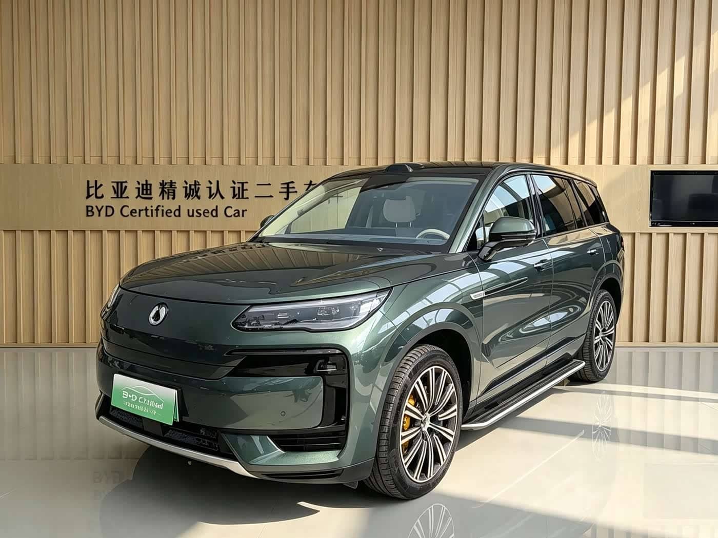 Denza N9