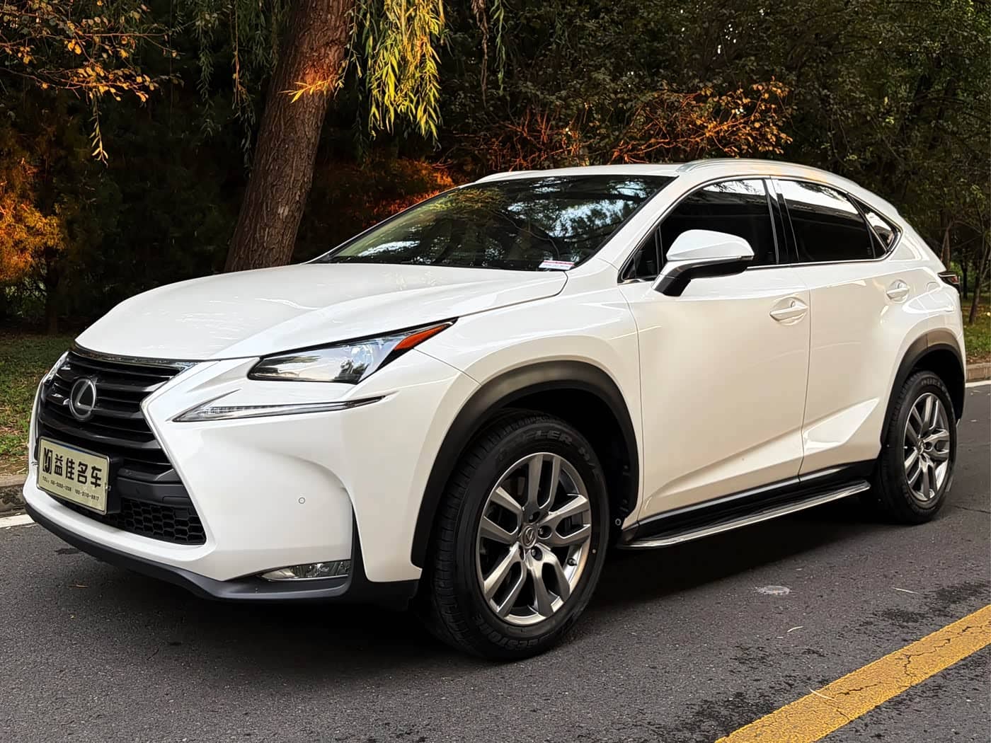 Lexus NX