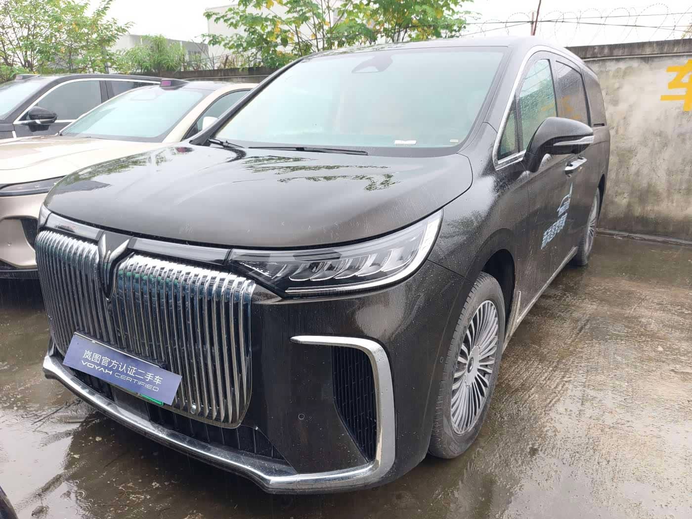 Voyah Auto Voyah Dreamer
