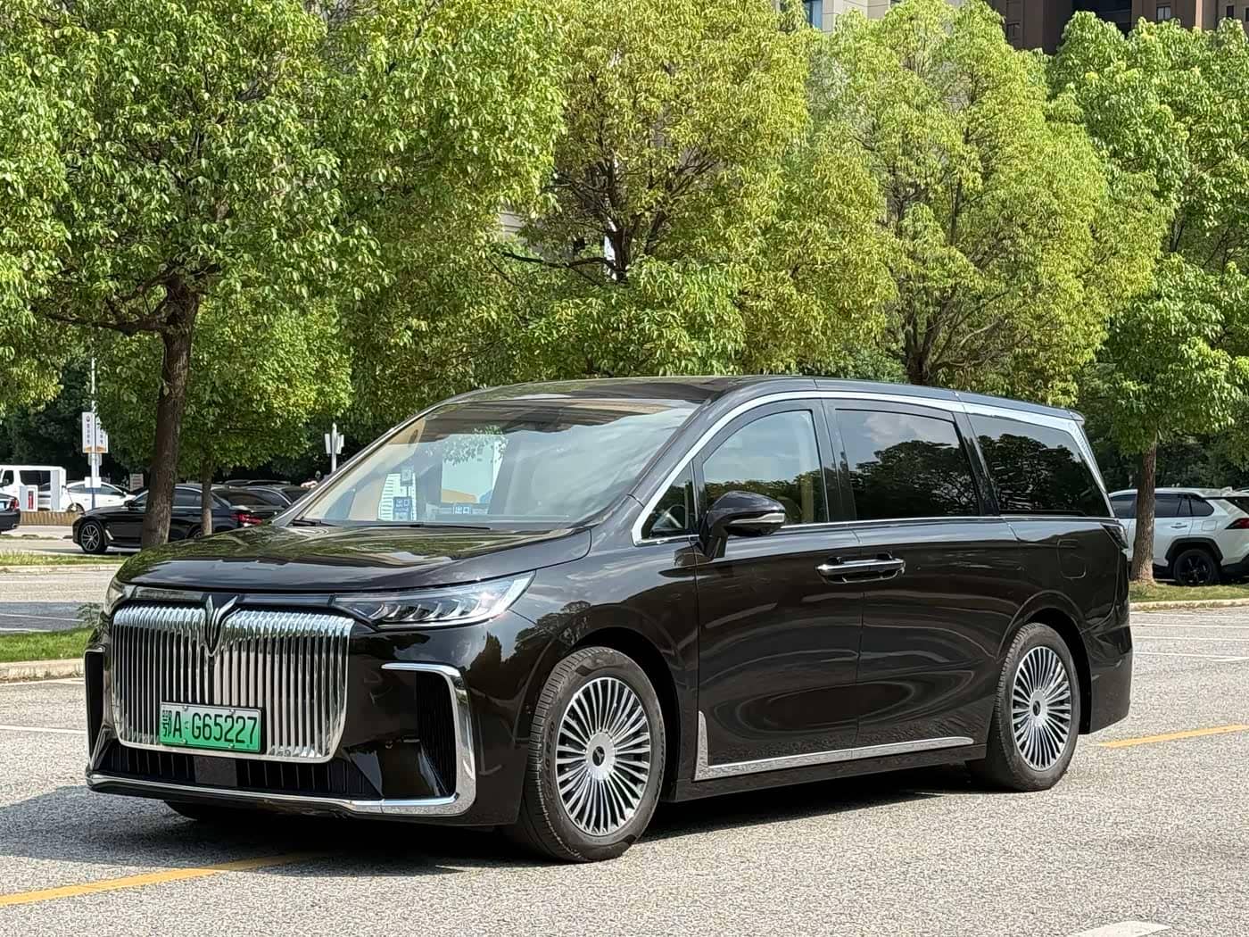 Voyah Auto Voyah Dreamer