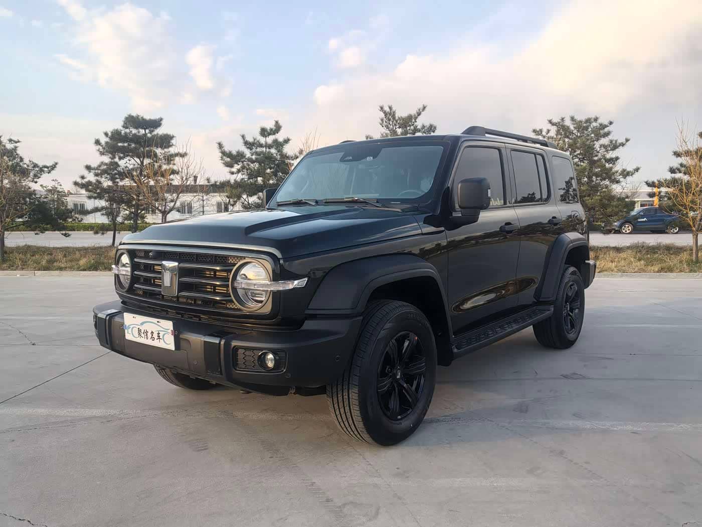 Tank 300