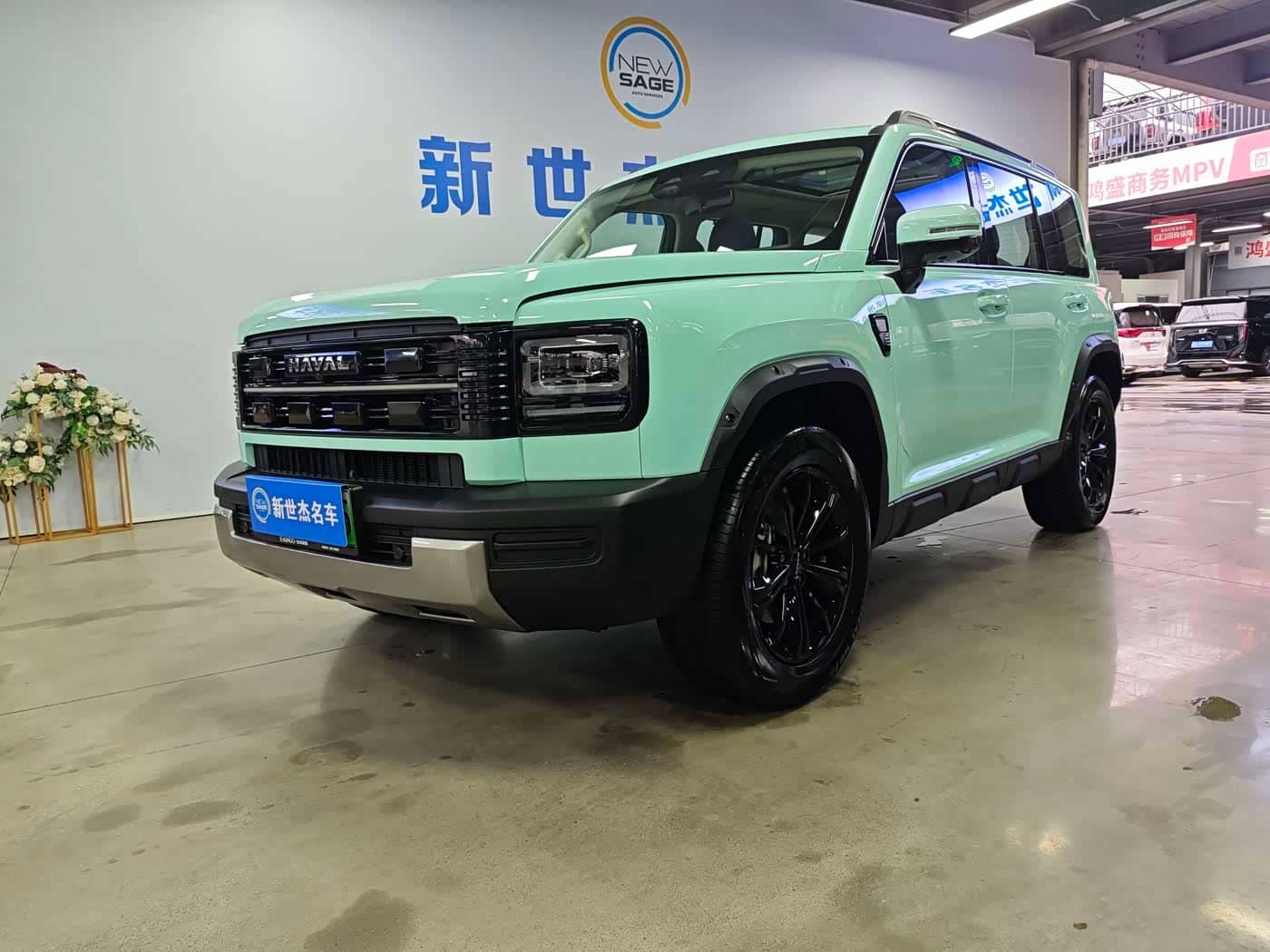 Haval Meng Long NEV