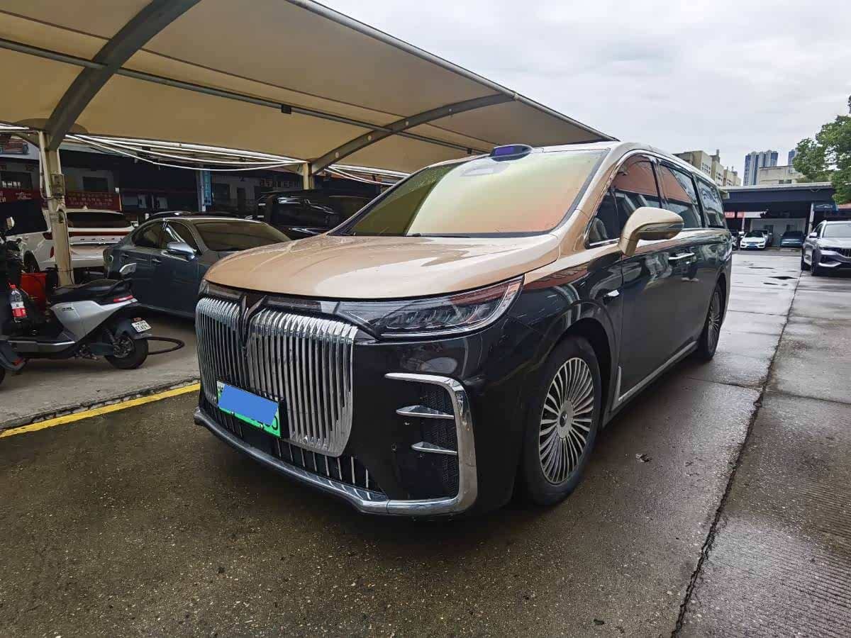 Voyah Auto Voyah Dreamer