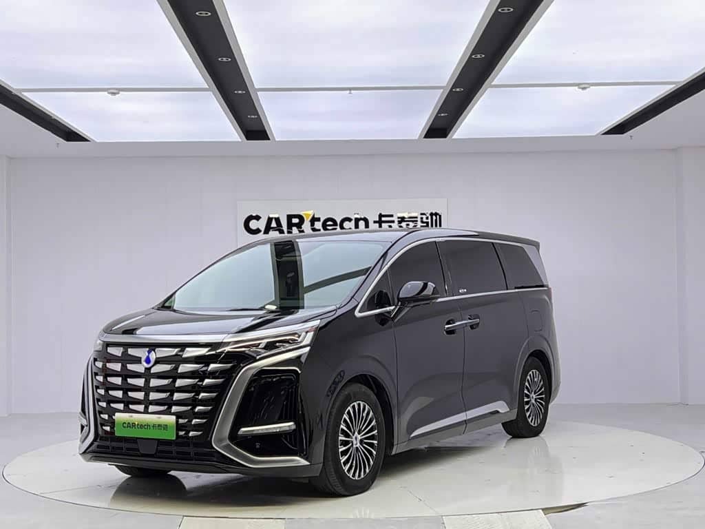 Denza D9