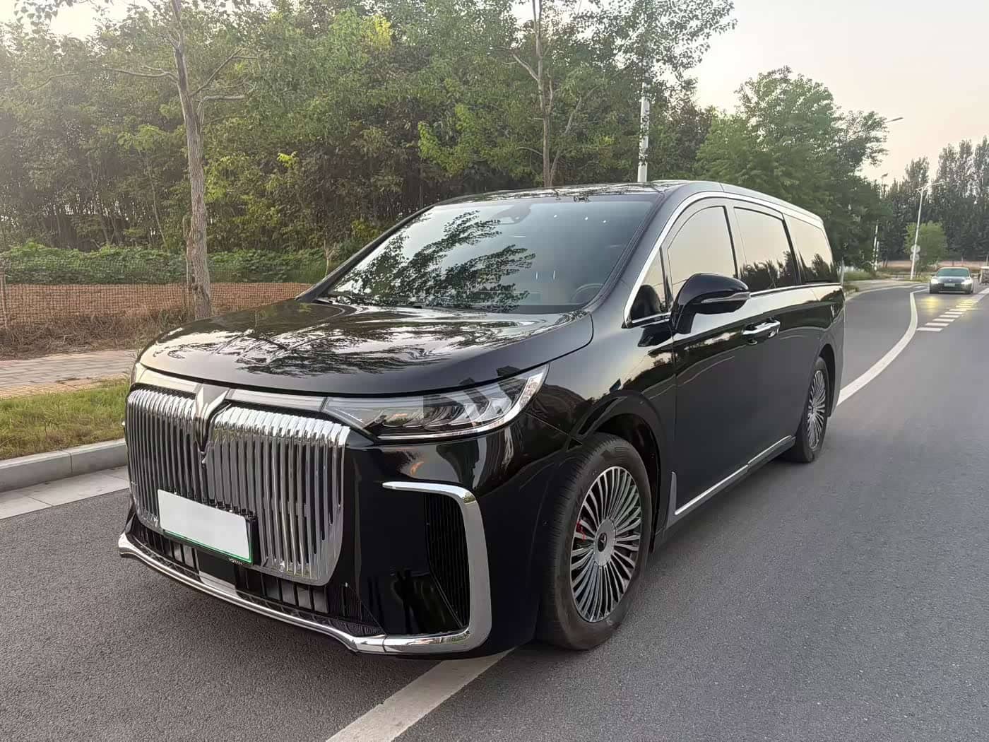 Voyah Auto Voyah Dreamer