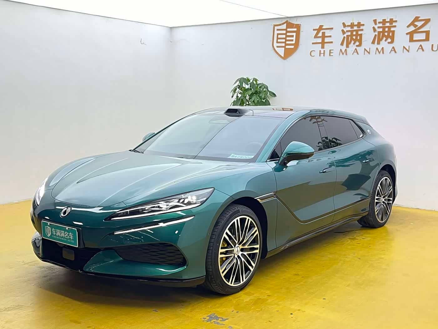 Denza Z9GT