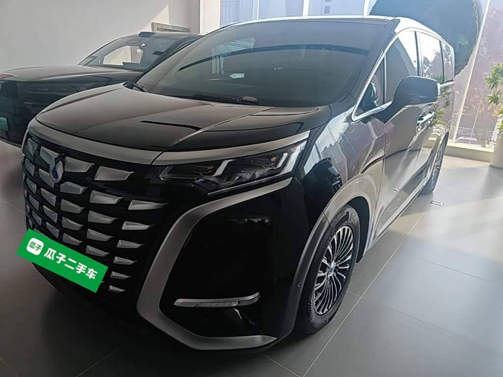 Denza D9