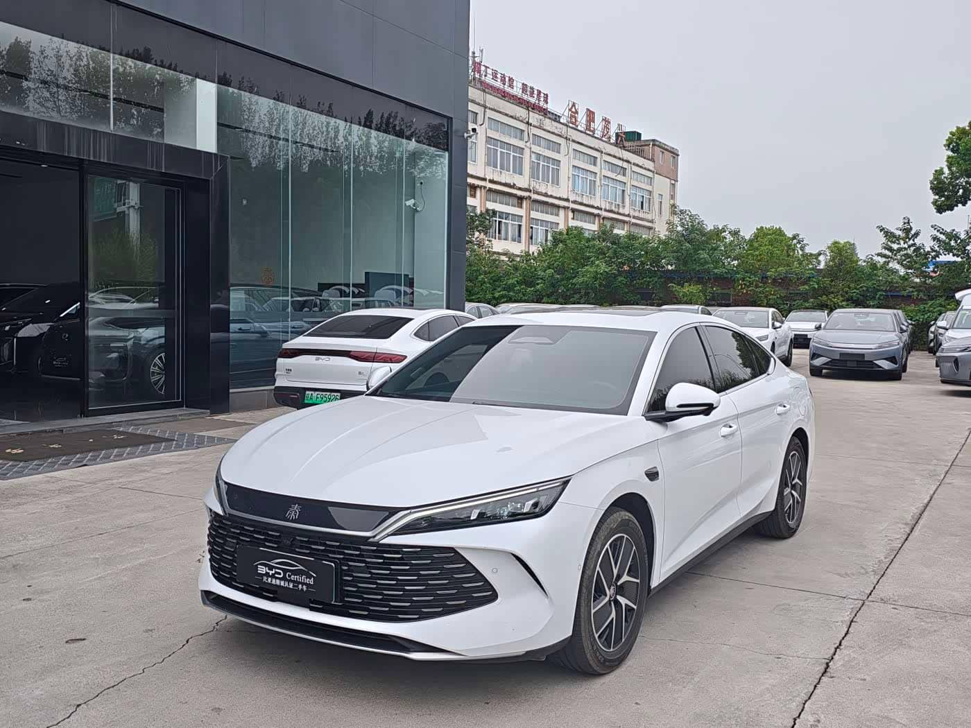 BYD Qin L
