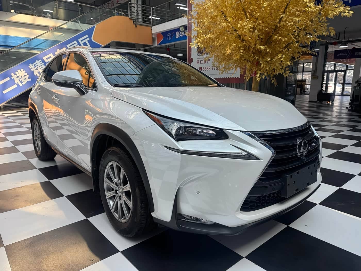 Lexus NX