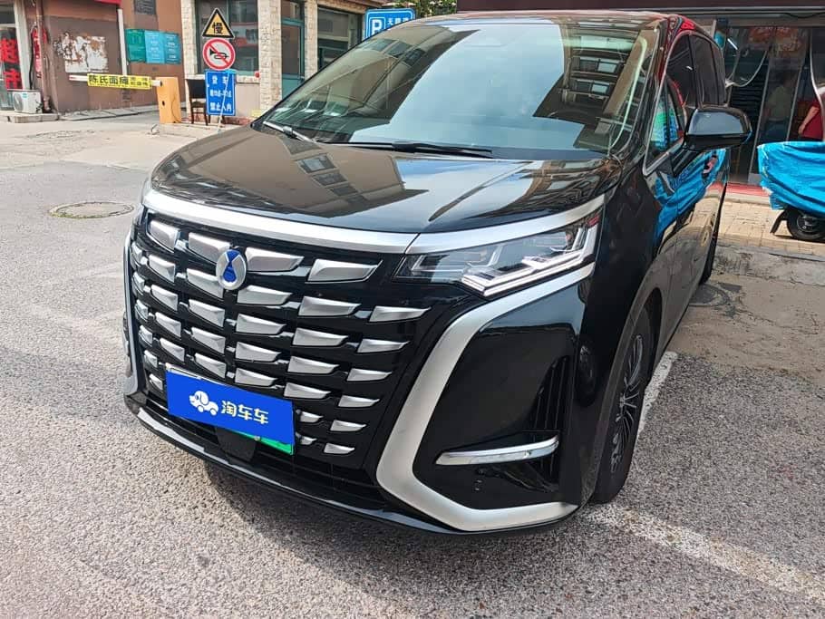 Denza D9