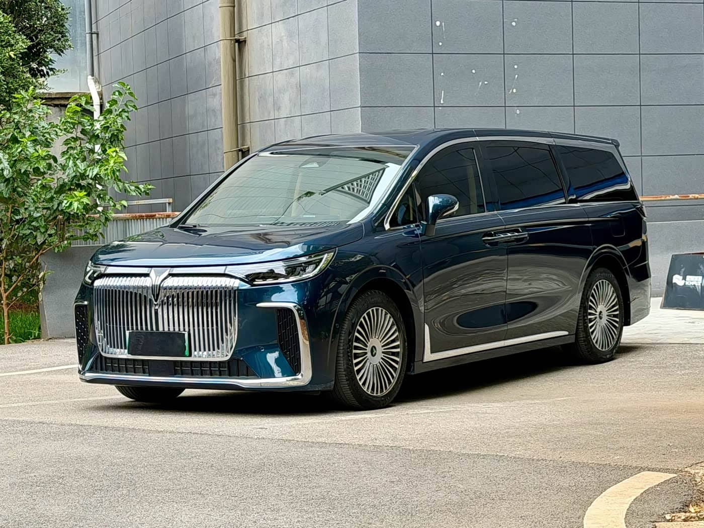 Voyah Auto Voyah Dreamer